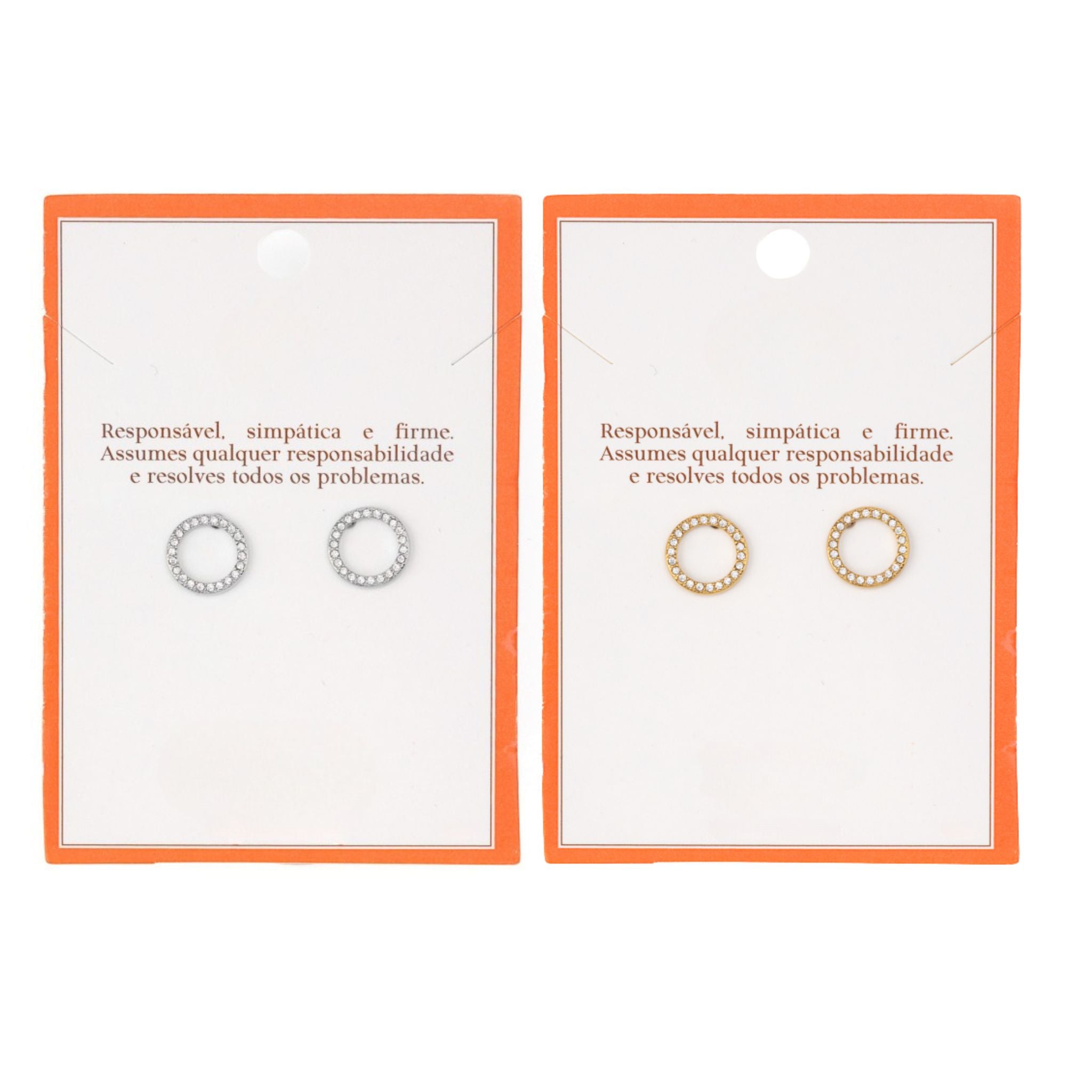 AURA | Brincos com Círculo em Zircônias em Aço Inox