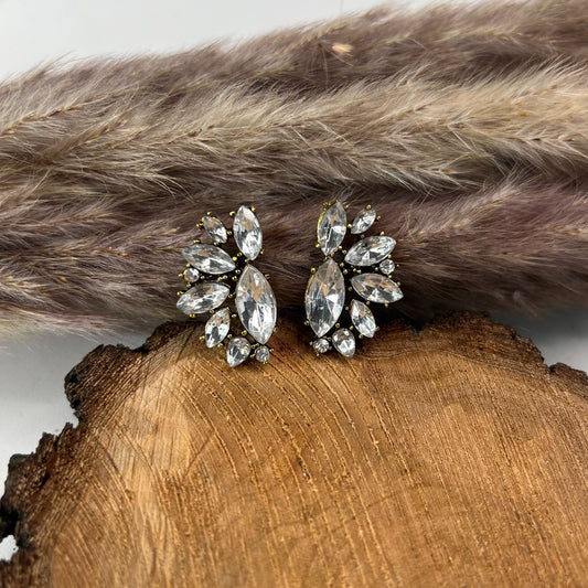 earrings with crystals